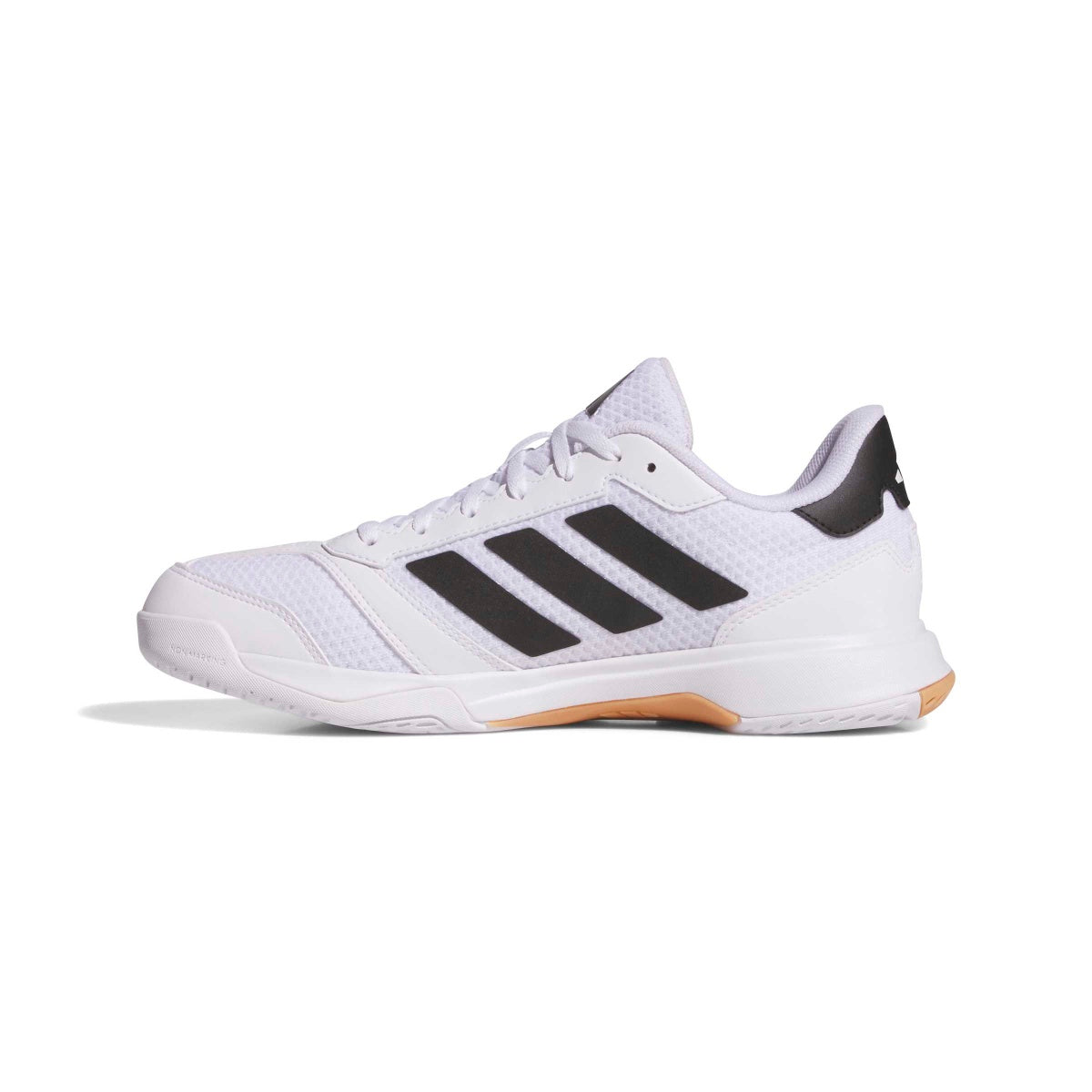 adidas Women's Ligra 8 Volleyball Shoes Volleyball Footwear Adult