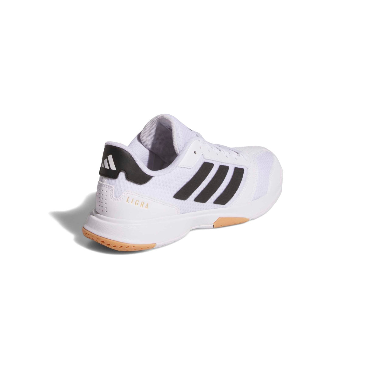 adidas Women's Ligra 8 Volleyball Shoes Volleyball Footwear Adult