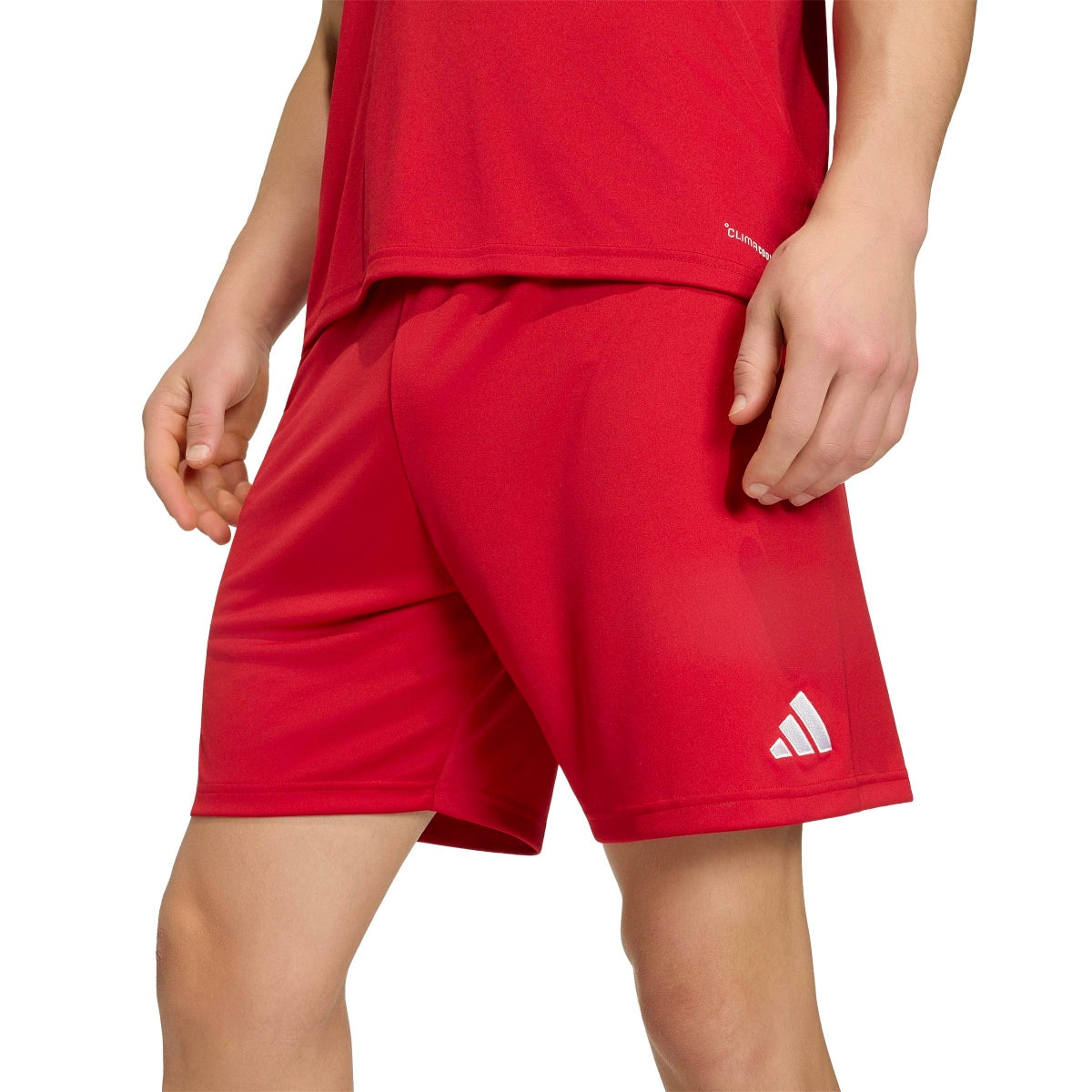 adidas Men's Entrada26 Soccer Shorts