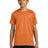 Nike Youth Swoosh Sleeve rLegend Tee Shirt. NKDX8787