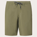 Oakley Men's Transport Hybrd Packable Shorts 19-1