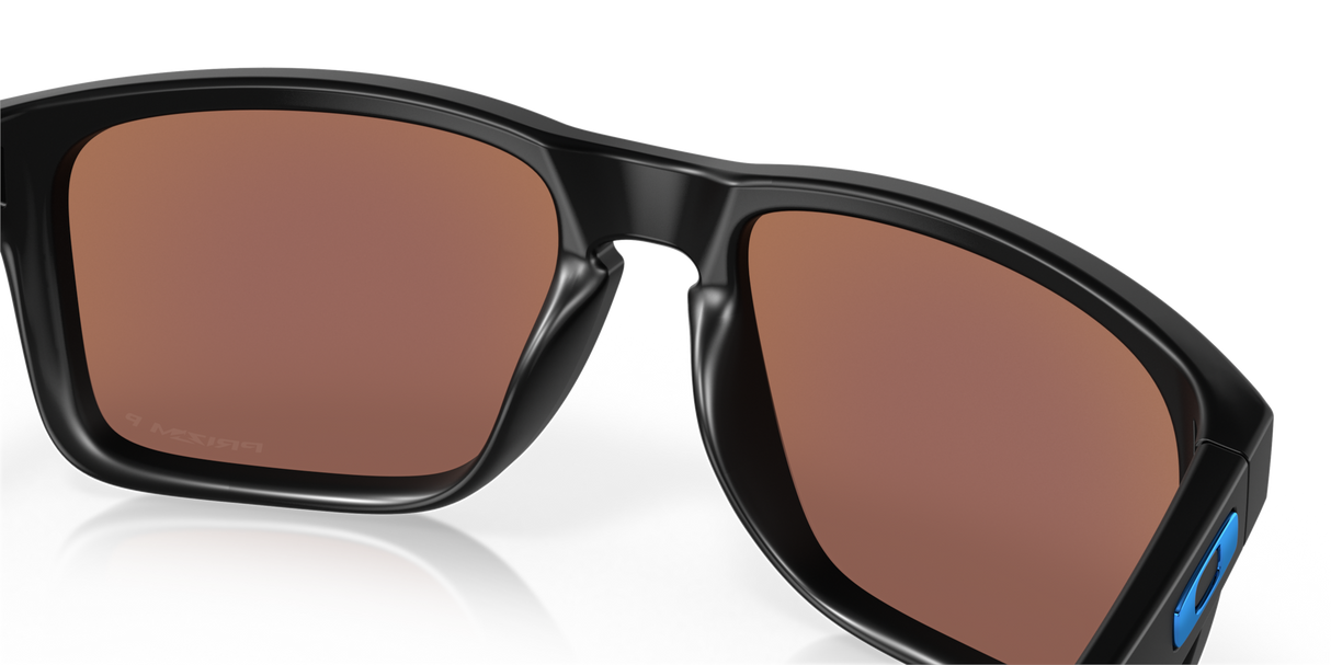 Oakley Holbrook XL Glasses-10