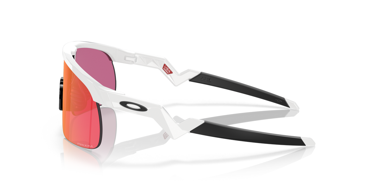 Oakley Resistor Sunglasses-4