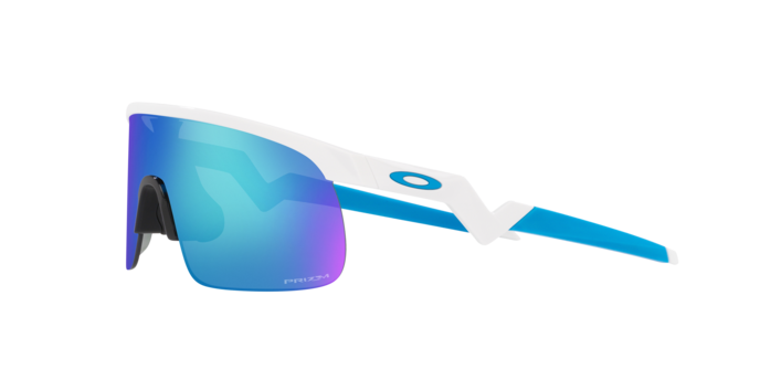 Oakley Resistor Sunglasses-7