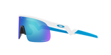 Oakley Resistor Sunglasses-7