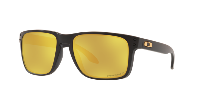 Oakley Holbrook XL Glasses-5