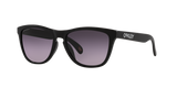 Oakley Frogskins A Glasses-4