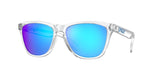 Oakley Frogskins Glasses-1