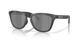 Oakley Frogskins Range XL Glasses-2