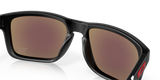 Oakley Holbrook NFL Glasses-10