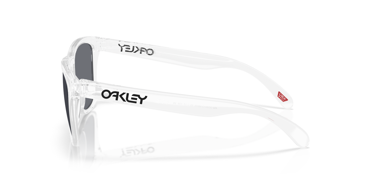 Oakley Frogskins Glasses-3