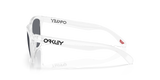 Oakley Frogskins Glasses-3
