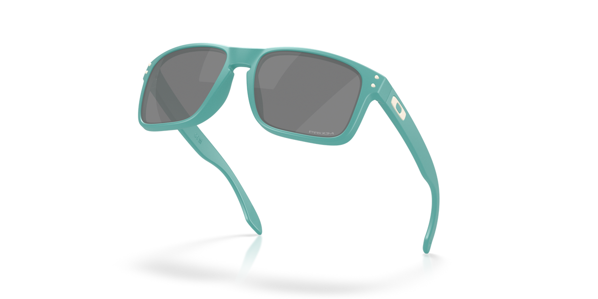 Oakley Holbrook A Glasses-5