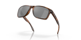 Oakley Holbrook XL Glasses-9