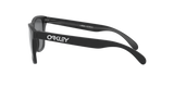 Oakley Frogskins Glasses-8