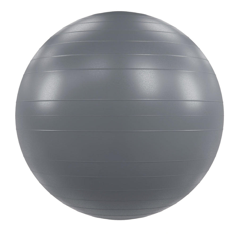 Power Systems VersaBall Pro Stability Ball Exercise & Wellness Studio Fitness Stability Balls
