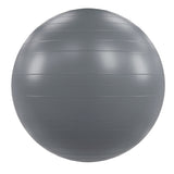 Power Systems VersaBall Pro Stability Ball Exercise & Wellness Studio Fitness Stability Balls