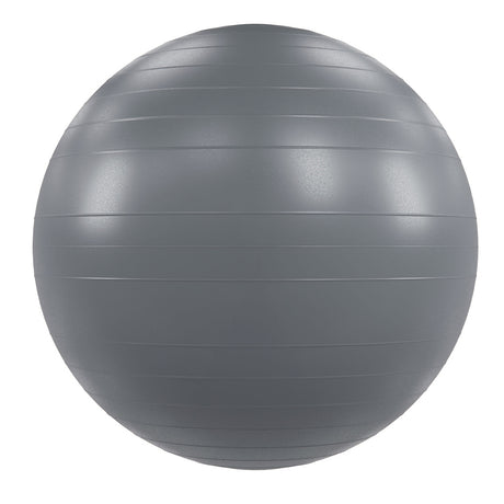 Power Systems VersaBall Pro Stability Ball Exercise & Wellness Studio Fitness Stability Balls