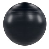 Power Systems VersaBall Pro Stability Ball Exercise & Wellness Studio Fitness Stability Balls