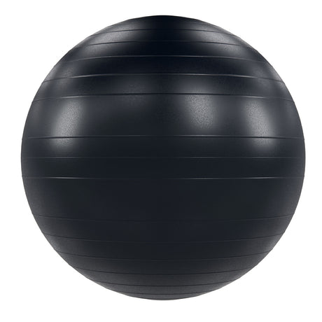 Power Systems VersaBall Pro Stability Ball Exercise & Wellness Studio Fitness Stability Balls