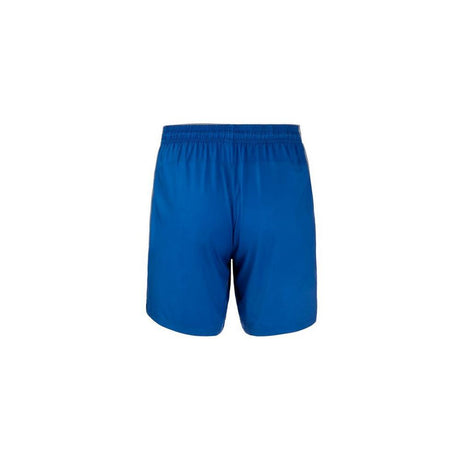 Men's Mizuno 7" Volley Short Mizuno