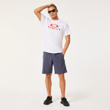 Oakley Men's Transport Hybrd Packable Shorts 19-8