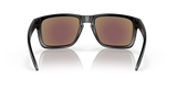 Oakley Holbrook XL Glasses-6