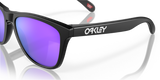 Oakley Frogskins Glasses-10
