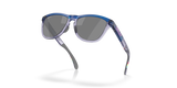 Oakley Frogskins Range Glasses-5