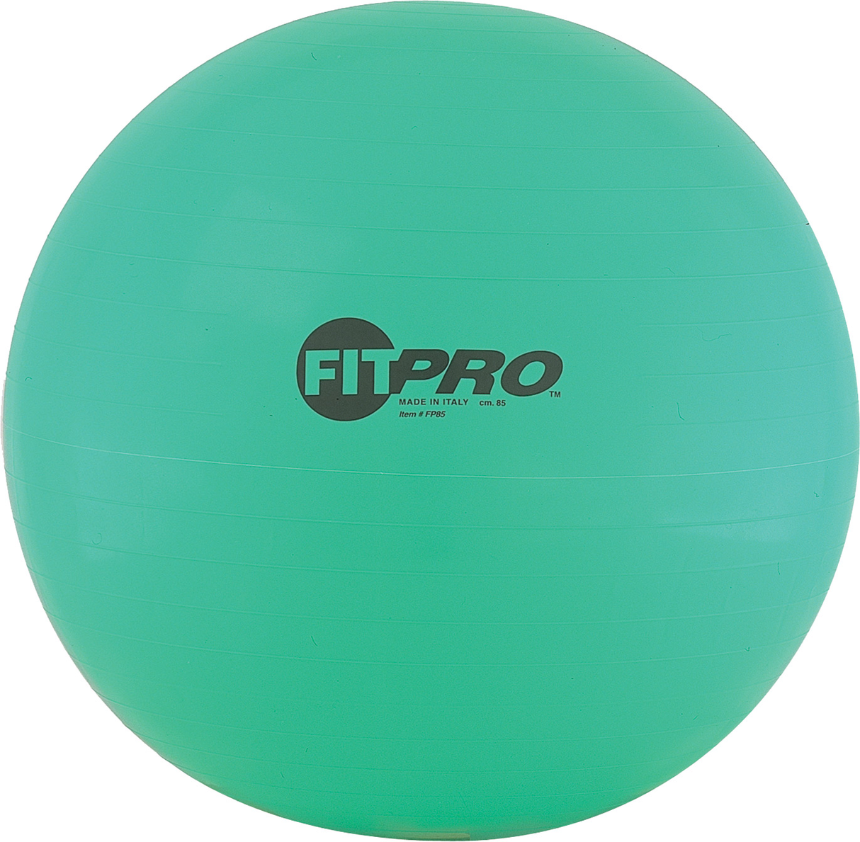 Champion Sports Fitpro Training/Exercise Ball Champion Sports