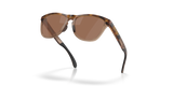Oakley Frogskins Range XL Glasses-5