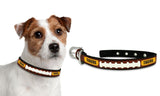 Gamewear Missouri Tigers Football Pet Collar Size Small Fan Gear NCAA Missouri Tigers