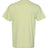 Comfort Colors Women's Garment-Dyed Heavyweight T-Shirt Comfort Colors
