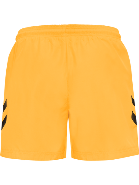 Hummel Men's Ned Swim Shorts Hummel