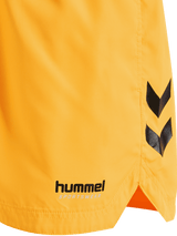 Hummel Men's Ned Swim Shorts Hummel