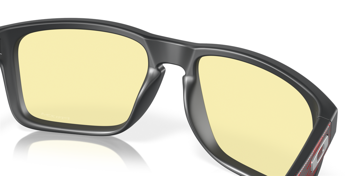 Oakley Holbrook XL Glasses-7