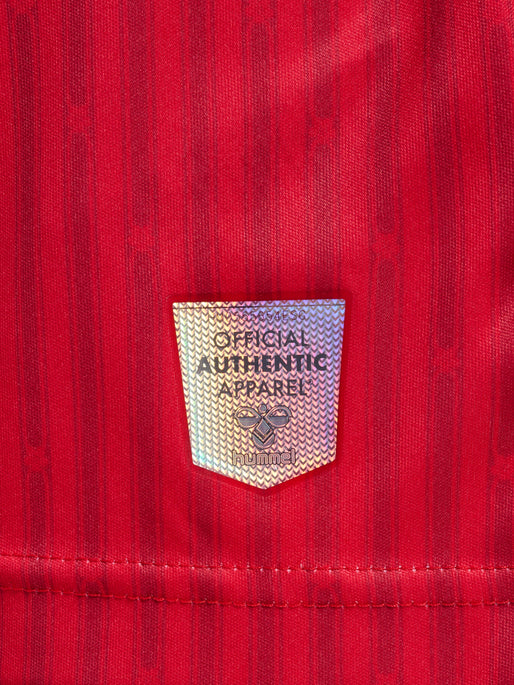 Hummel Men's Southampton 23/24 Home Jersey Hummel