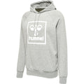 Hummel Men's Isam 2.0 Hoodie Hummel