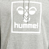 Hummel Men's Isam 2.0 Hoodie Hummel