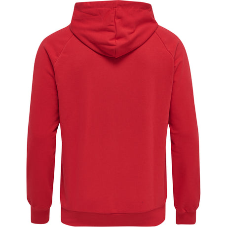Hummel Men's Isam 2.0 Hoodie Hummel