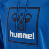 Hummel Men's Isam 2.0 Hoodie Hummel