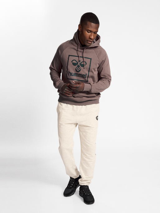 Hummel Men's Isam 2.0 Hoodie Hummel