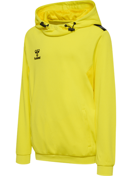 Hummel Youth Authentic Pl Hoodie Hummel