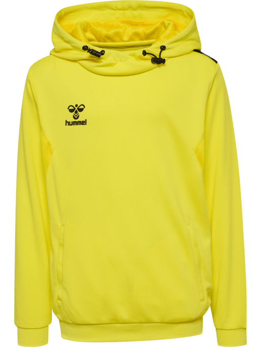 Hummel Youth Authentic Pl Hoodie Hummel
