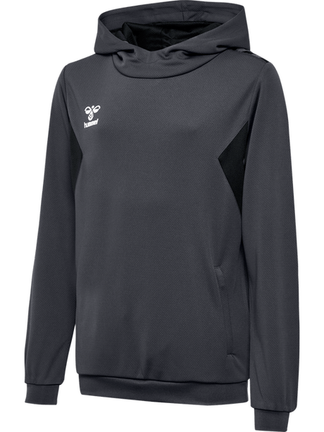 Hummel Youth Authentic Pl Hoodie Hummel