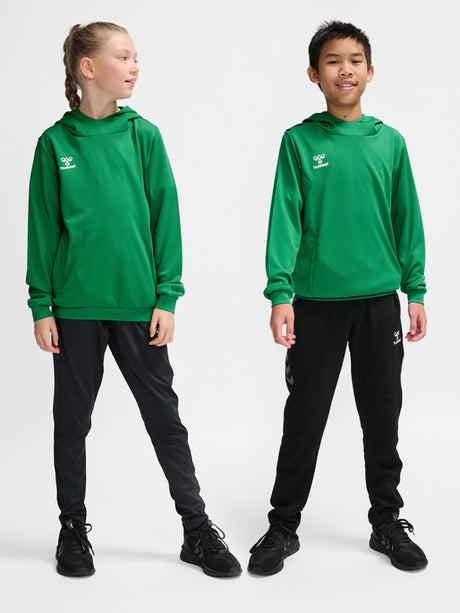 Hummel Youth Authentic Pl Hoodie Hummel