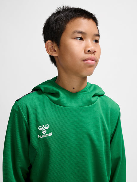 Hummel Youth Authentic Pl Hoodie Hummel