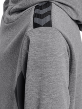 Hummel Youth Authentic Pl Hoodie Hummel
