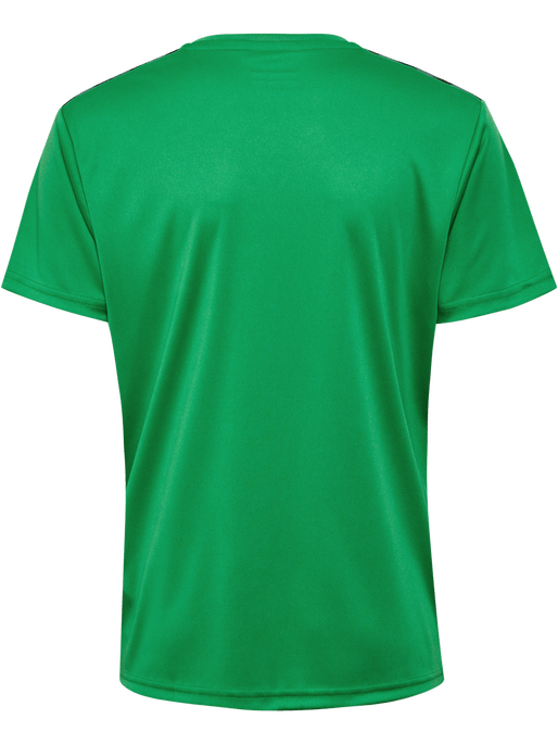 Hummel Youth Authentic Pl Short Sleeve Jersey Hummel