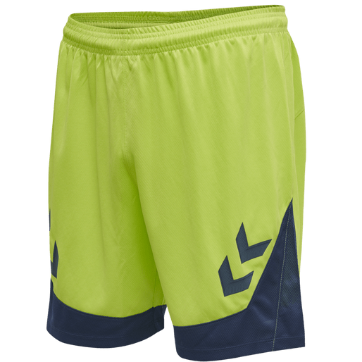 Hummel Men's Lead Poly Training Shorts Hummel